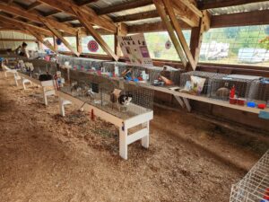 A rustic barn with open sides houses rows of small animal cages on raised tables. The cages contain various small animals, including rabbits and guinea pigs, with food and water. A colorful sign reading 